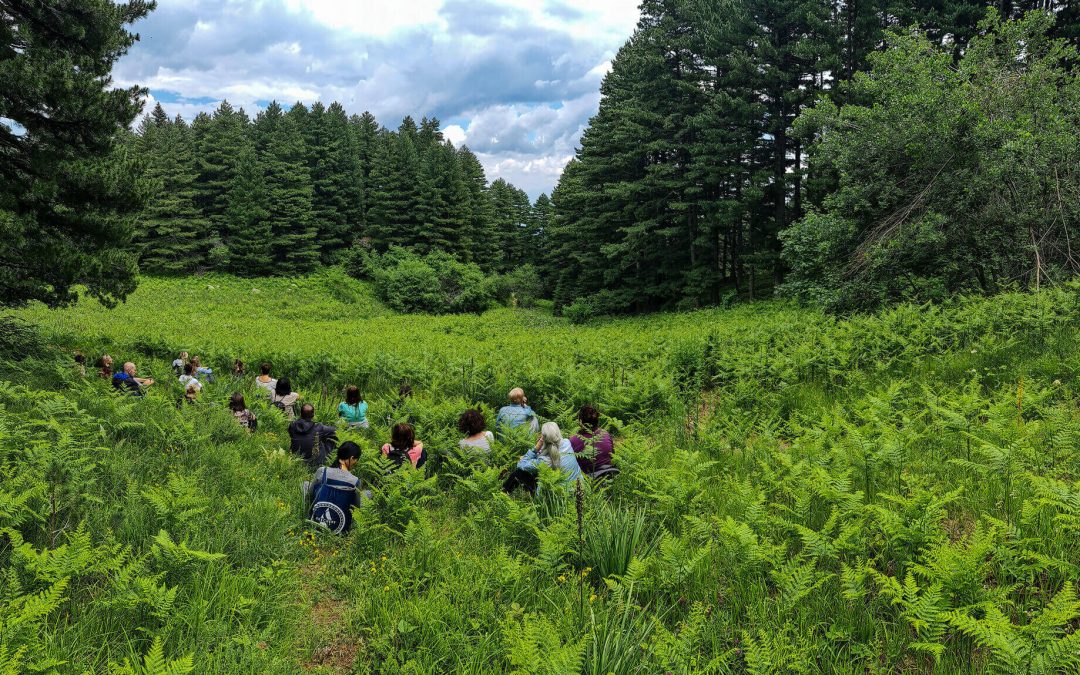 Јога семинар со Лидија Георгиева