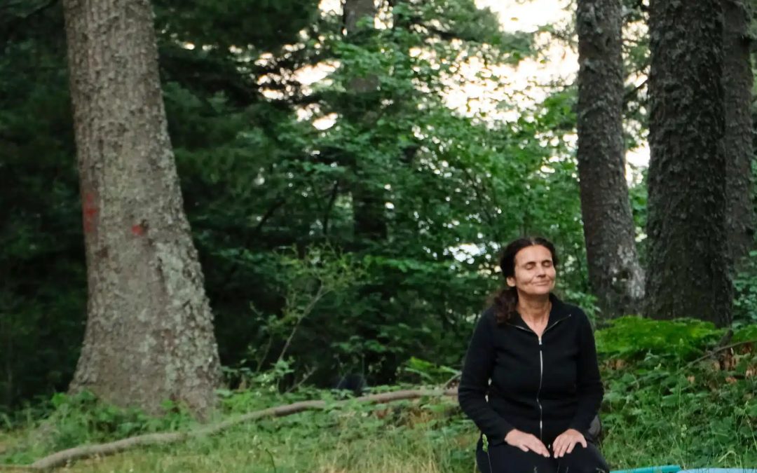 РАБОТИЛНИЦА ЗА СЕМЕЈНИ КОНСТЕЛАЦИИ