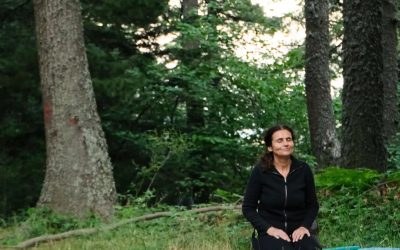 РАБОТИЛНИЦА ЗА СЕМЕЈНИ КОНСТЕЛАЦИИ